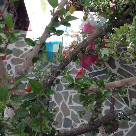 باروس Arian Hotel المظهر الخارجي الصورة