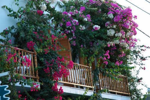 باروس Arian Hotel المظهر الخارجي الصورة